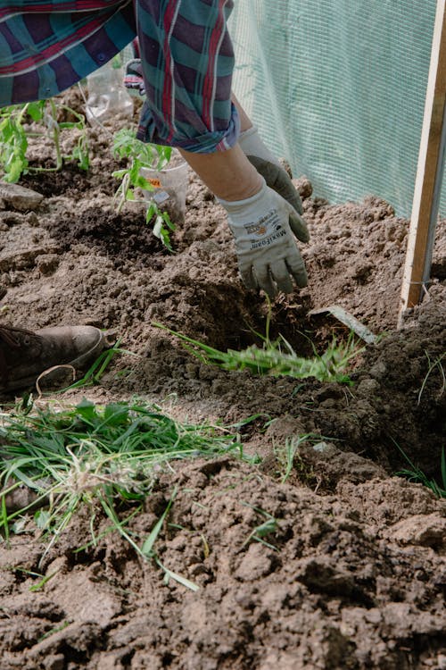 Close-up of a Woman Gardening 