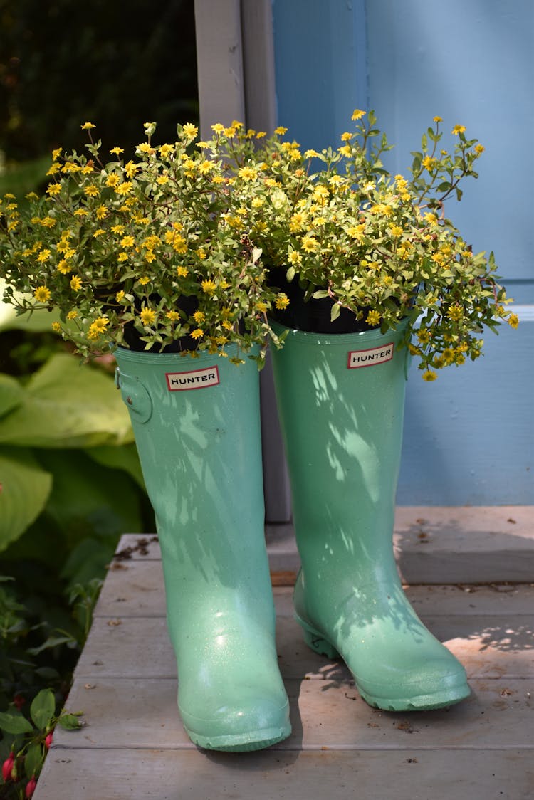 Flowers In Vases In Shape Of Boots