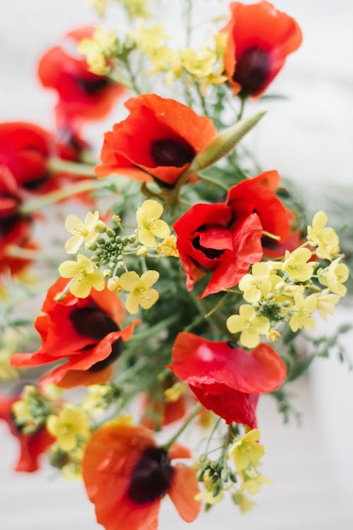 Bouquet of Colorful Flowers 