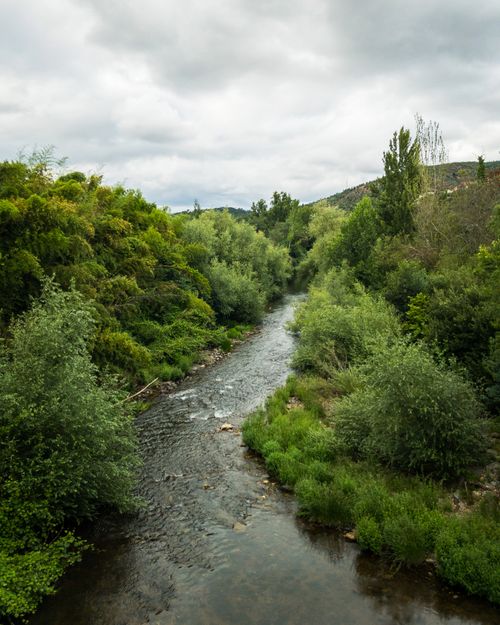 Free A peaceful river meanders through vibrant green foliage, offering a tranquil natural landscape. Stock Photo