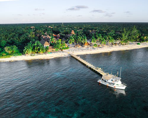 Aerial View of a Boat next to the Pier and Palm Trees on the Beach 