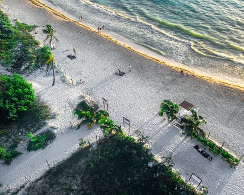 Free Relaxing aerial view of Playa del Carmen beach with lush greenery and gentle waves. Stock Photo