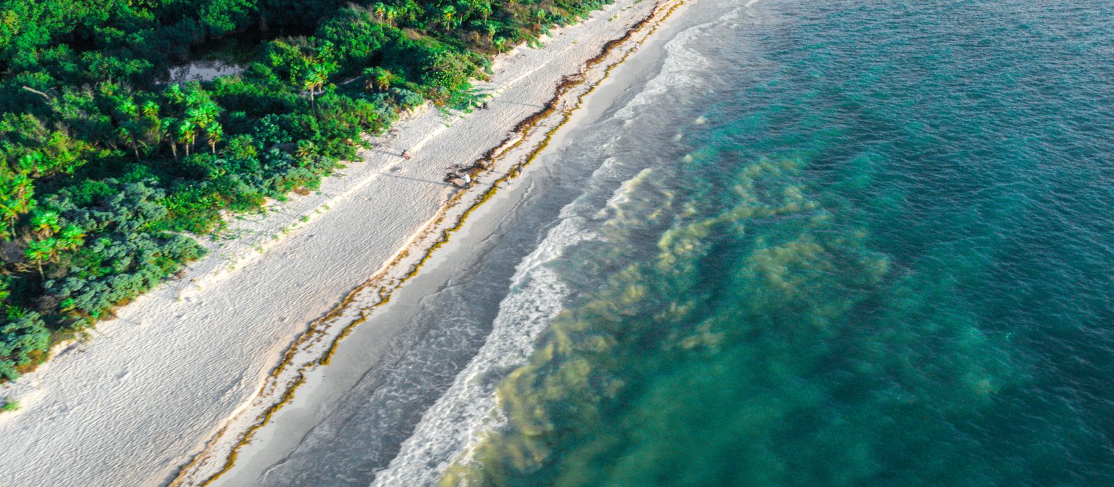 Stunning aerial view of Playa del Carmen beach and ocean, showcasing vibrant greenery and sandy shores in Mexico.