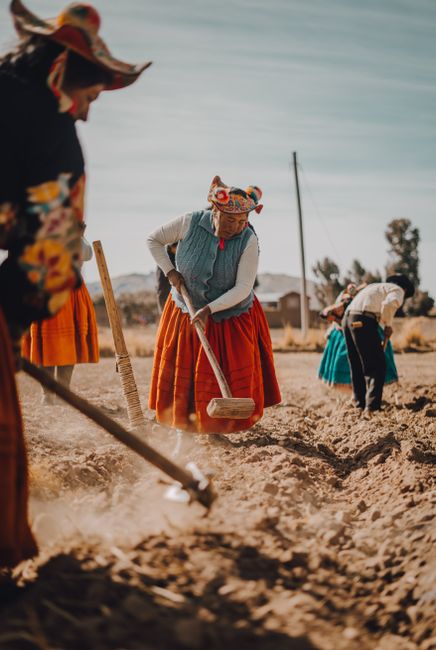 15. Indigenous Influence: Māori Farming Practices 15. Indigenous Influence: Māori Farming Practices