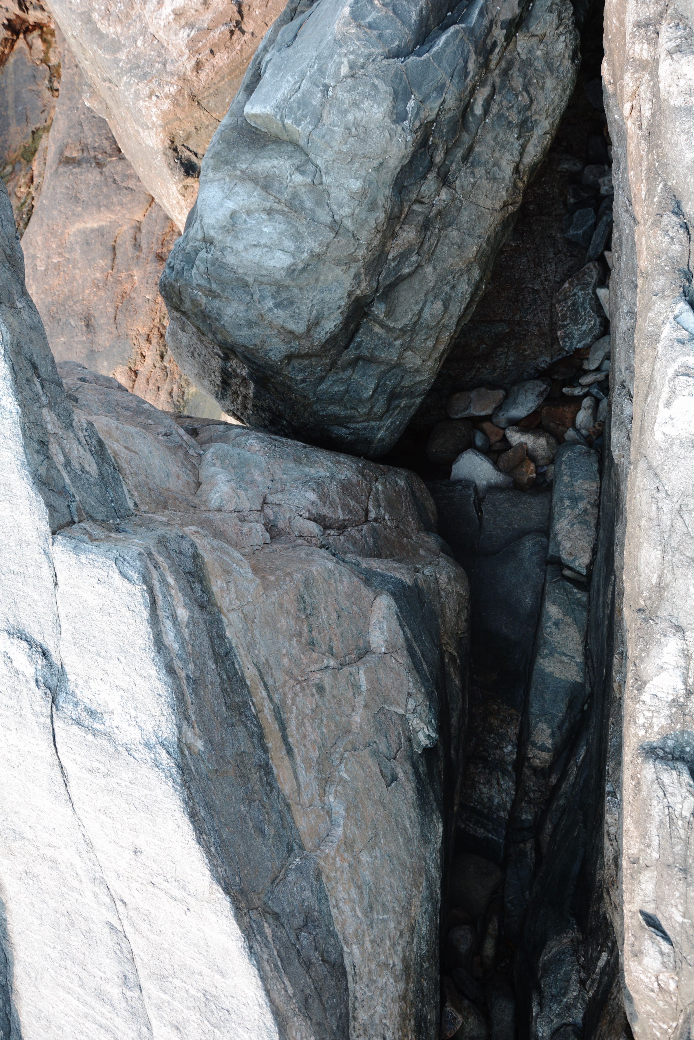 Roots on Rocks in Cave Entrance · Free Stock Photo