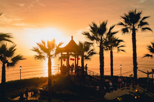 Free Silhouetted Pavilion and Palm Trees on the Shore at Sunset Stock Photo