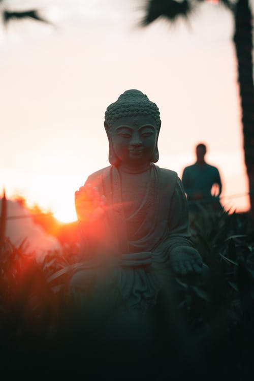 Základová fotografie zdarma na téma Asie, buddha, chrám