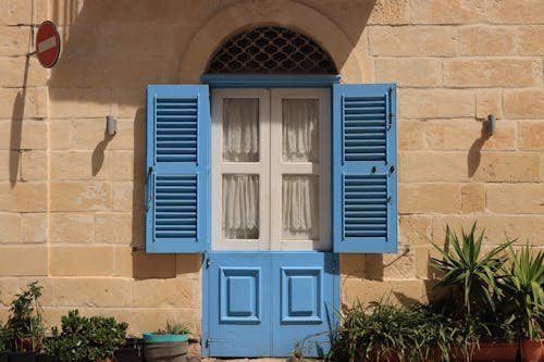 Free Exterior of a Building with Blue Window Shutters and Plants Standing by the Wall  Stock Photo