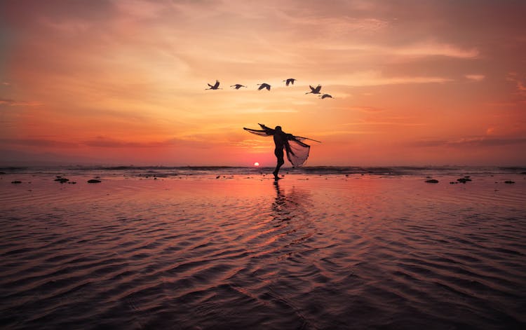Birds Flying Over Fisherman Carrying Nets At Sunset