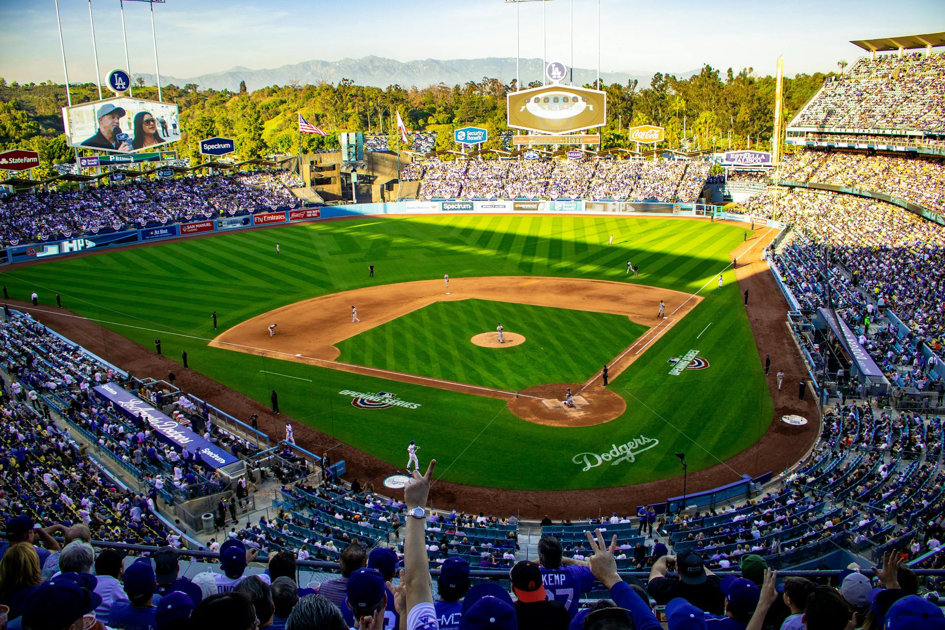 Crowd on a Baseball Stadium