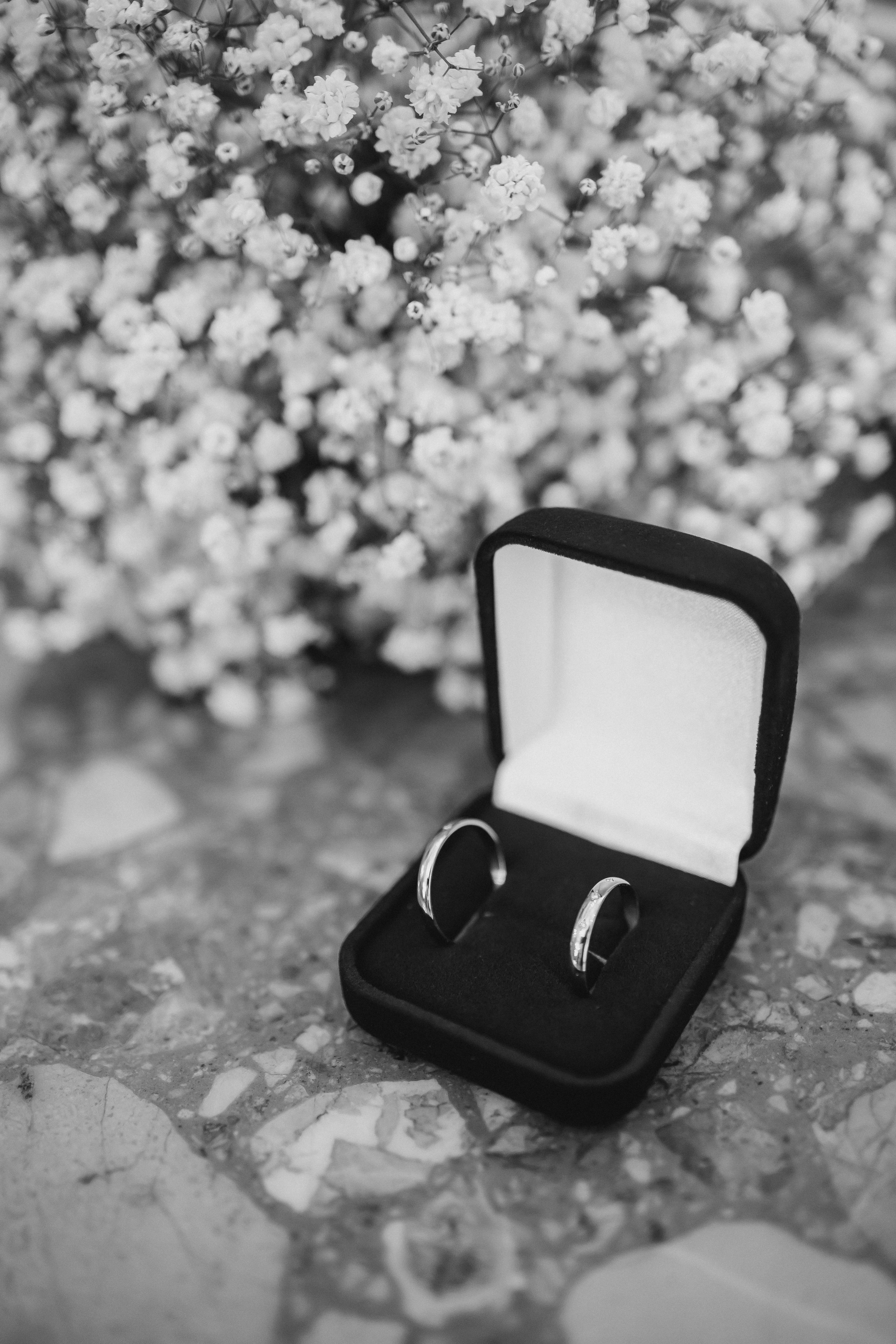 Alianças de casamento em uma caixa, divórcio em Curitiba