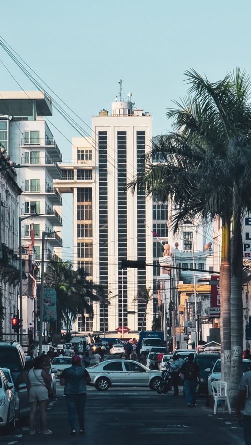 Free A vibrant city street scene featuring a prominent tall building and palm trees. Stock Photo