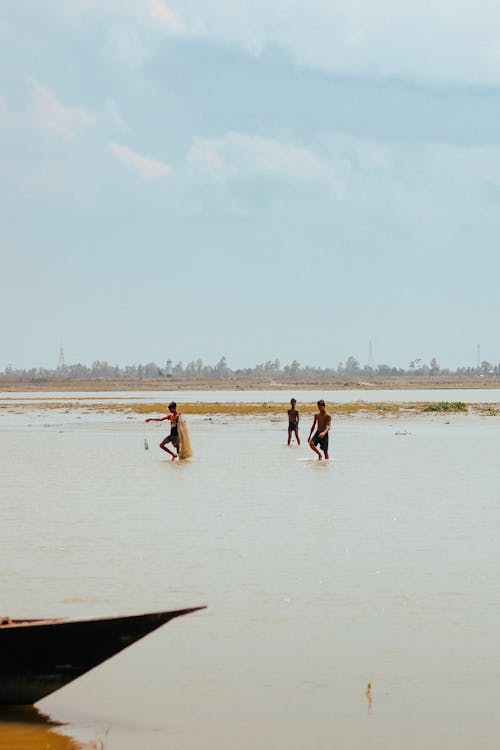 亞洲, 夏天, 孟加拉國 的 免費圖庫相片