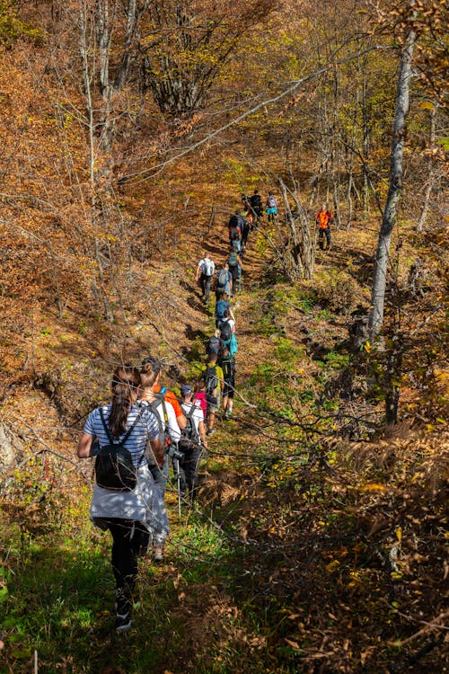 Autumn hiking