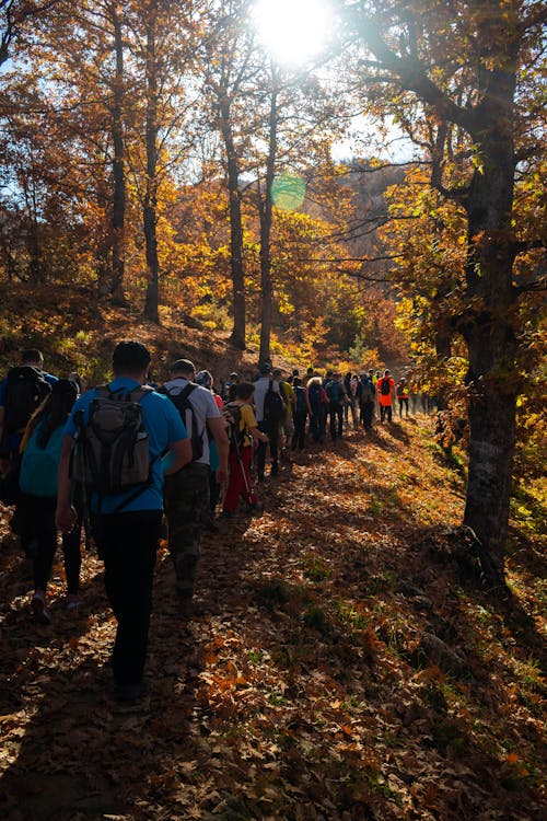 Autumn hiking