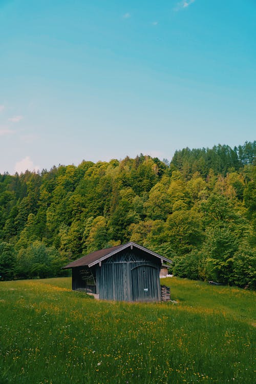 垂直拍摄, 小屋, 建造 的 免费素材图片