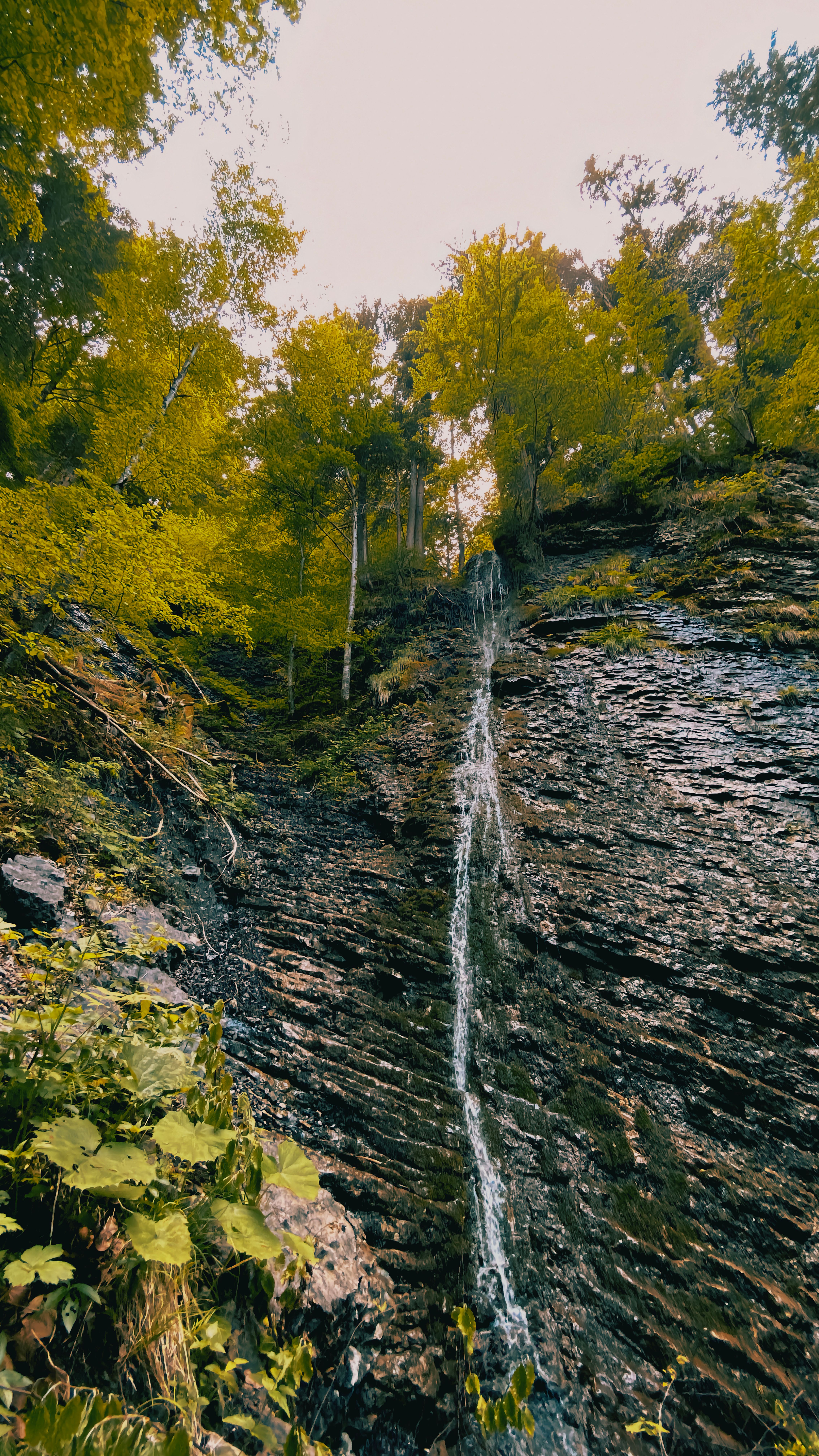 A vertical landscape of a serene waterfall amidst lush green forests and rock formations.