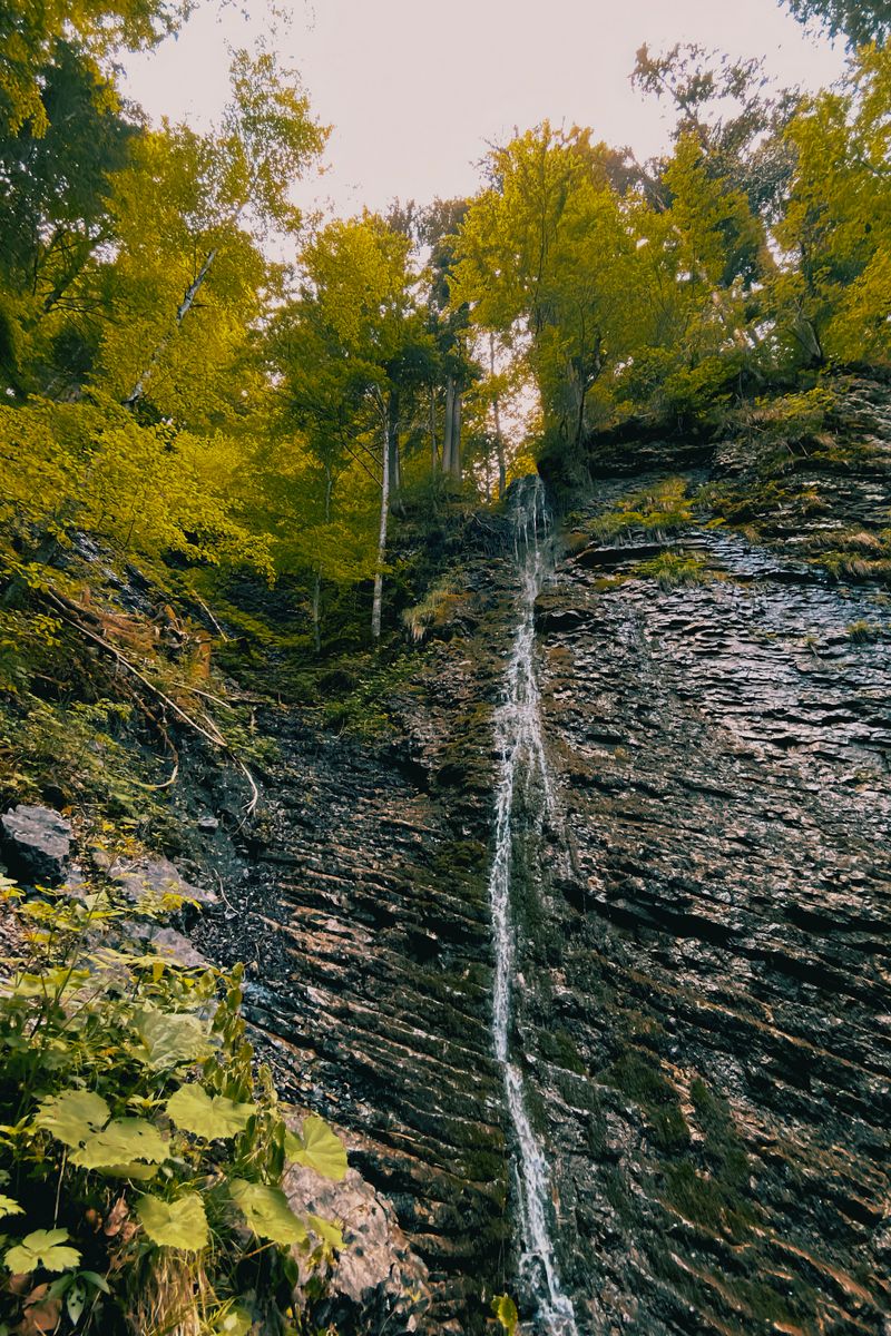 A vertical landscape of a serene waterfall amidst lush green forests and rock formations.