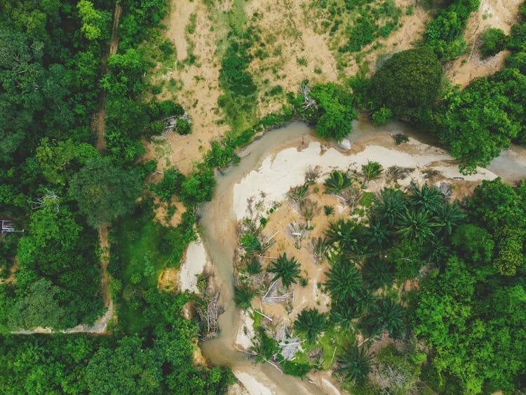 Dried River In A Forest Seen From Above 