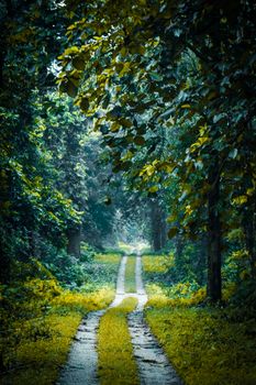 Image by Debendra Das
