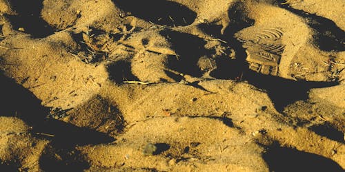 Close up of Sunlit Sand