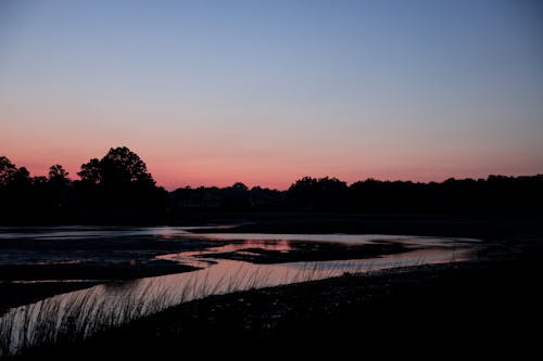 Silhouetted Trees around a Body of Water at Sunset