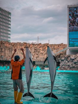 Dolphin trainer interacting with dolphins during a show at an outdoor aquarium.