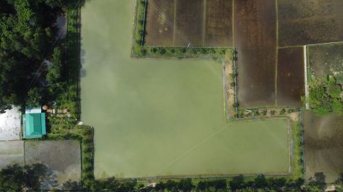 Free Drone shot of rural Sylhet, Bangladesh, showcases lush fields and large water bodies. Stock Photo
