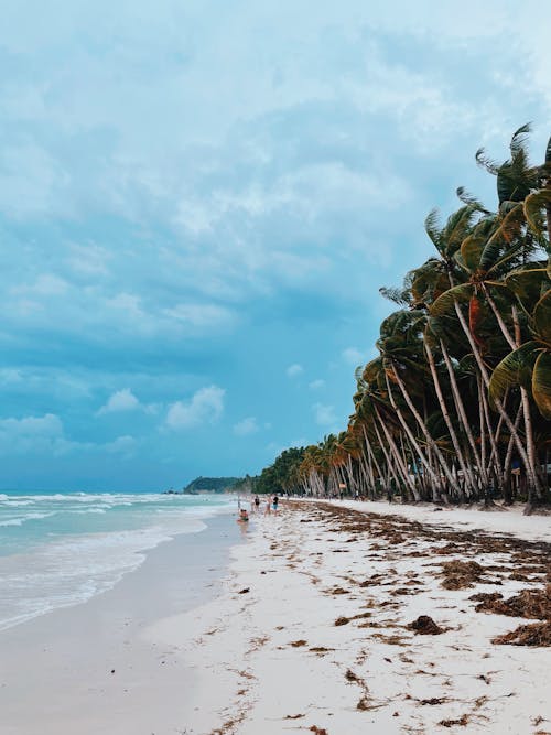Ücretsiz ada, dalgalar, deniz içeren Ücretsiz stok fotoğraf Stok Fotoğraflar