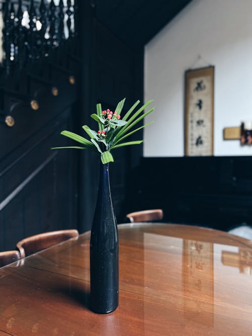 Plant in Vase on Table