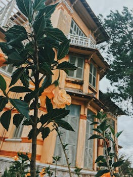 一座古色古香的房子，前景芙蓉盛开，非常适合旅游和建筑爱好者