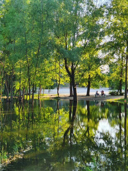 Free Tranquil summer scene of a reflection on a pond in a Kiev park, Ukraine. Stock Photo