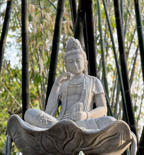 Бесплатное стоковое фото с бодхисаттва, Буддизм, буддист