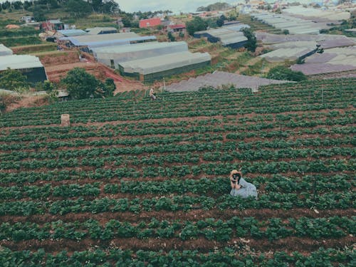 Ingyenes stockfotó drónfelvétel, drónfotózás, farm témában