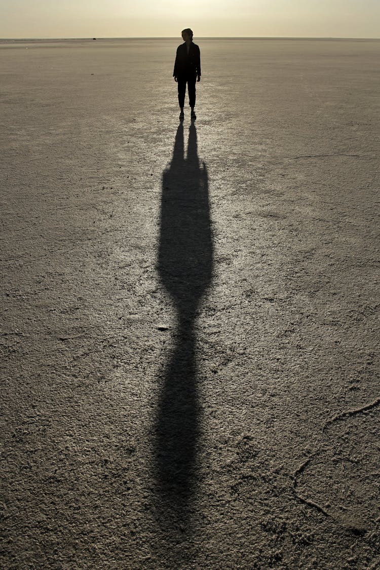 Silhouette Of A Person Standing In A Desert 