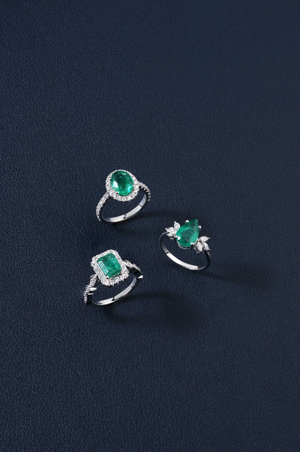 Set rings photographed against a dark ground
