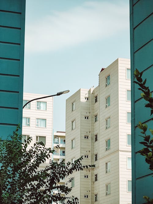 Foto profissional grátis de arquitetura contemporânea, árvores, blocos de apartamento