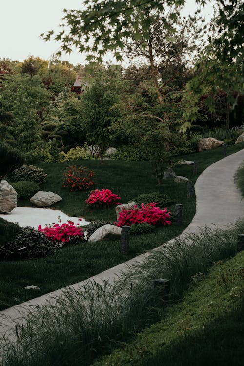 View of a Walkway in a Park with Flowers