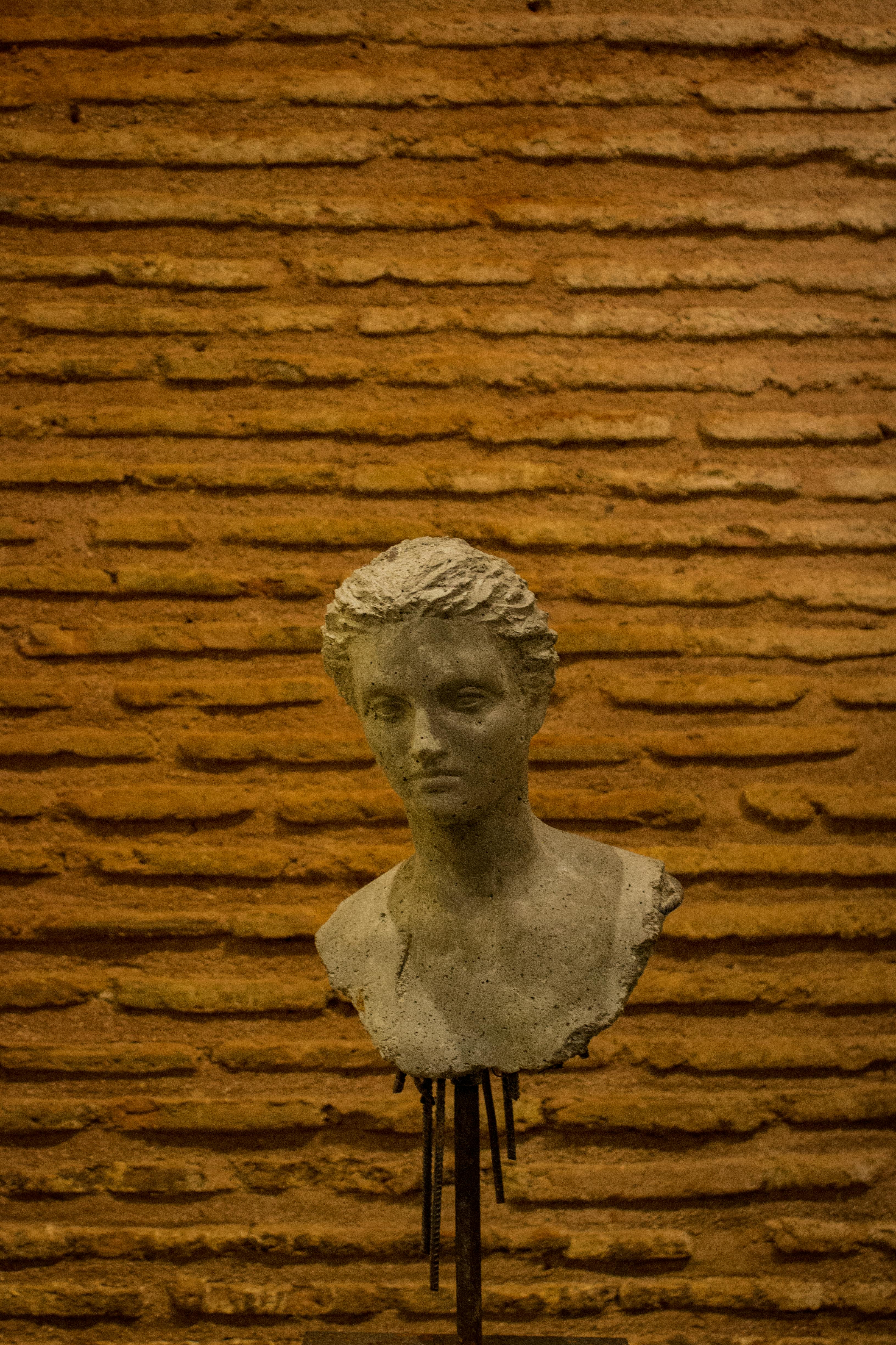 Bust Statue Photos, Download The BEST Free Bust Statue Stock Photos