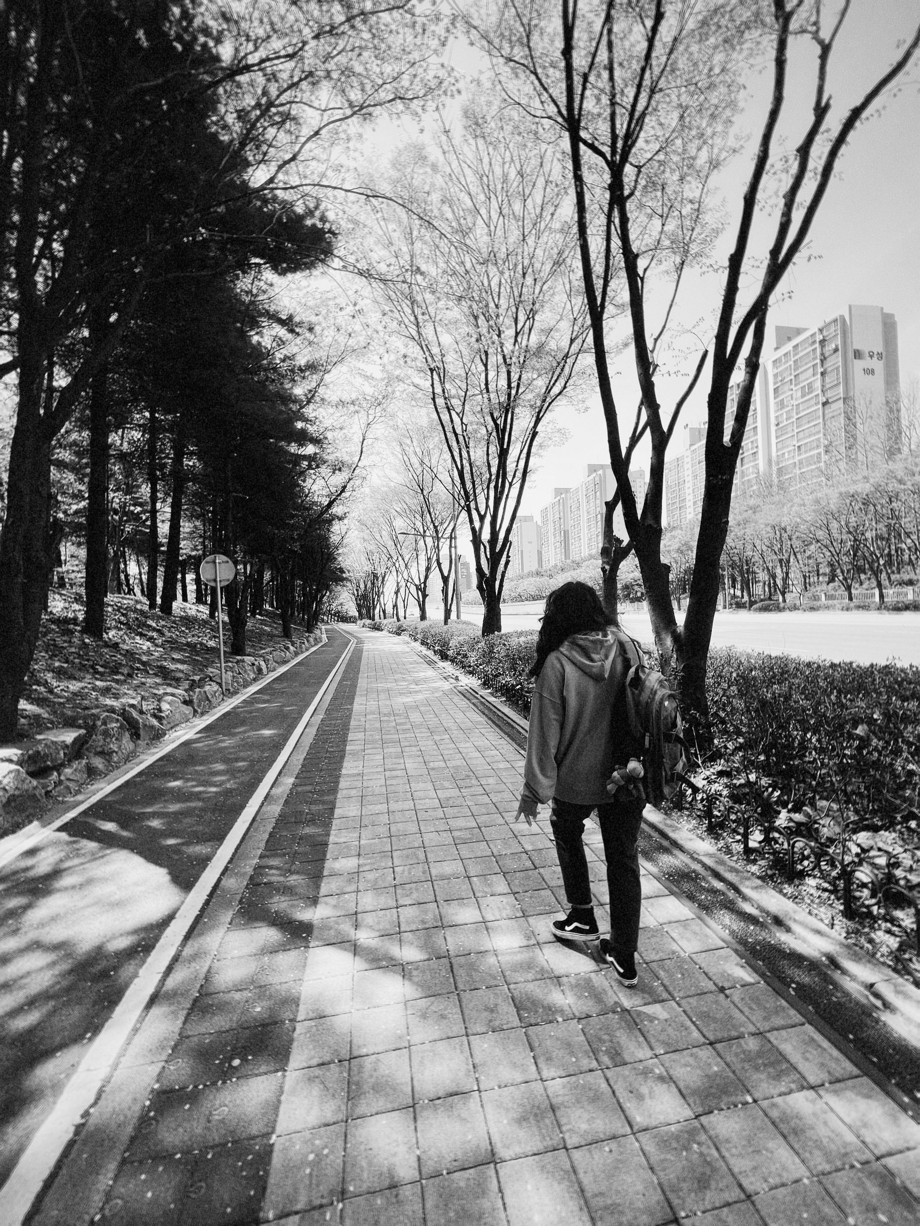 Man Walking on a Pavement in the Park in Black and White · Free Stock Photo