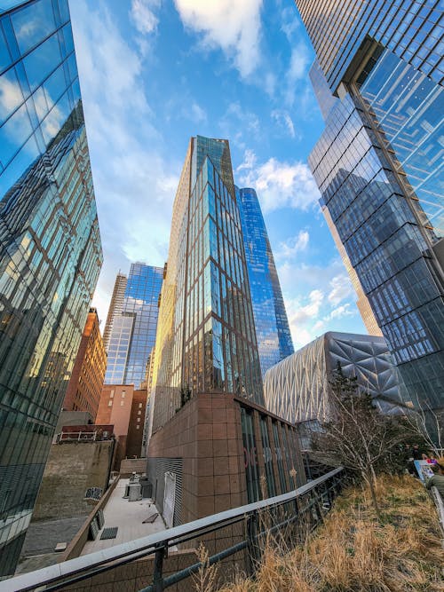 Low Angle Shot of Modern Skyscrapers in City 