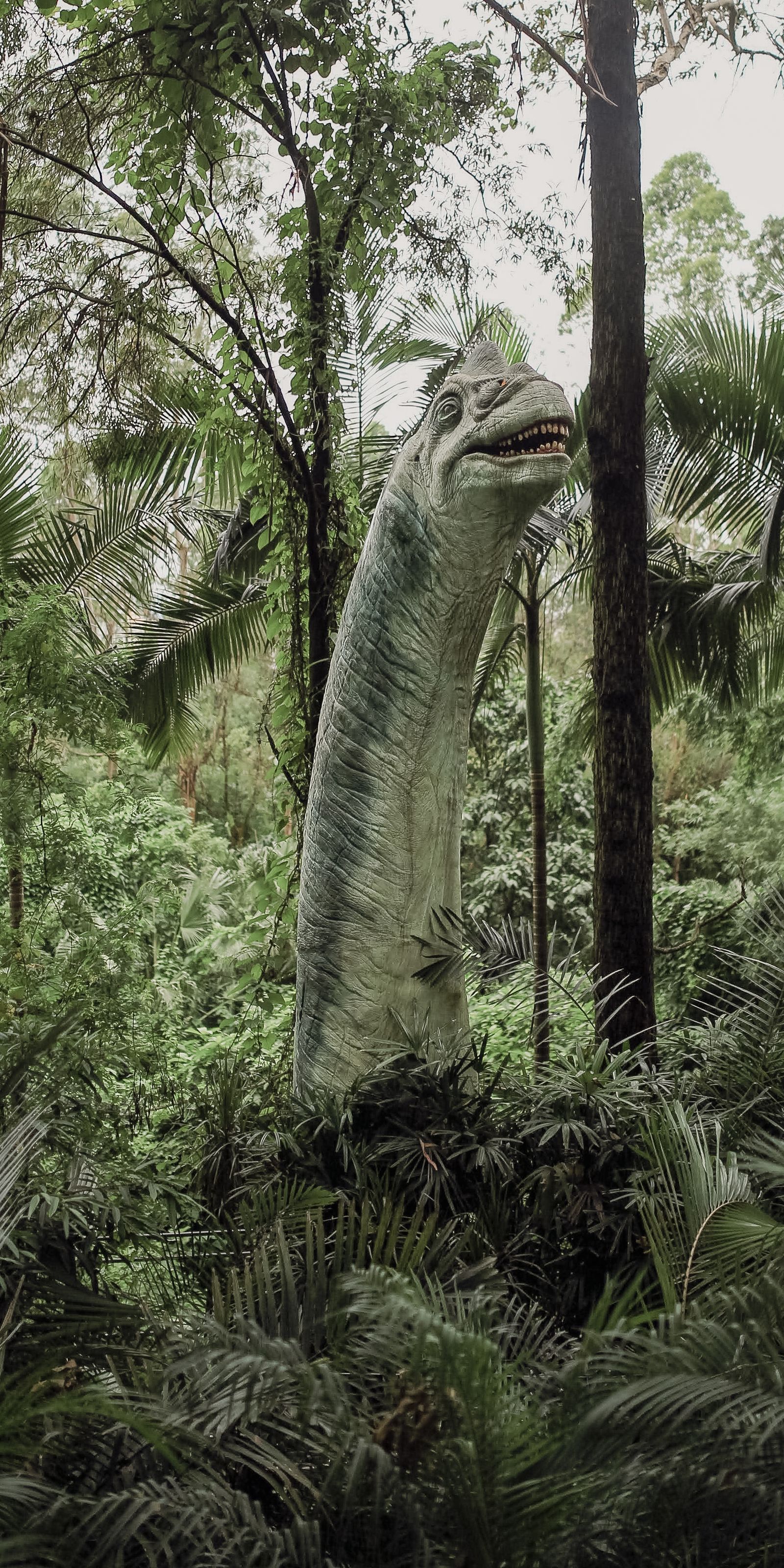  Dinosaur 4k Photos, Download The BEST Free Dinosaur 4k Stock Photos 