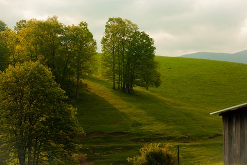 Free Tranquil rural scene with rolling green hills and lush trees under a cloudy sky. Stock Photo
