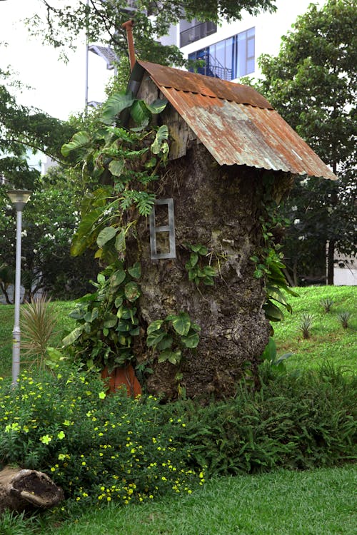 Immagine gratuita di albero, autunno, casa