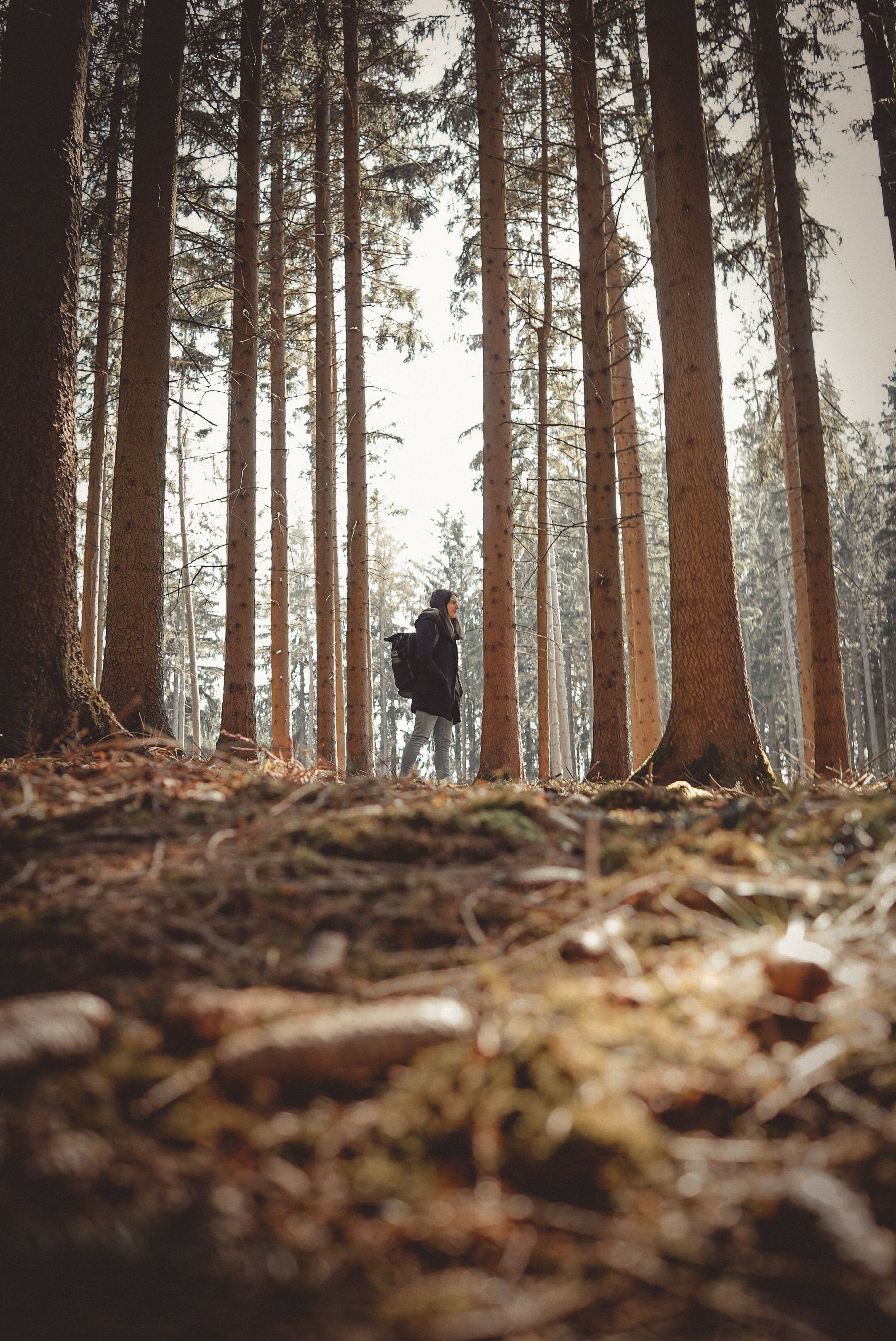 A lone hiker with a backpack treads through a serene forest in Germany, captured during the day.
