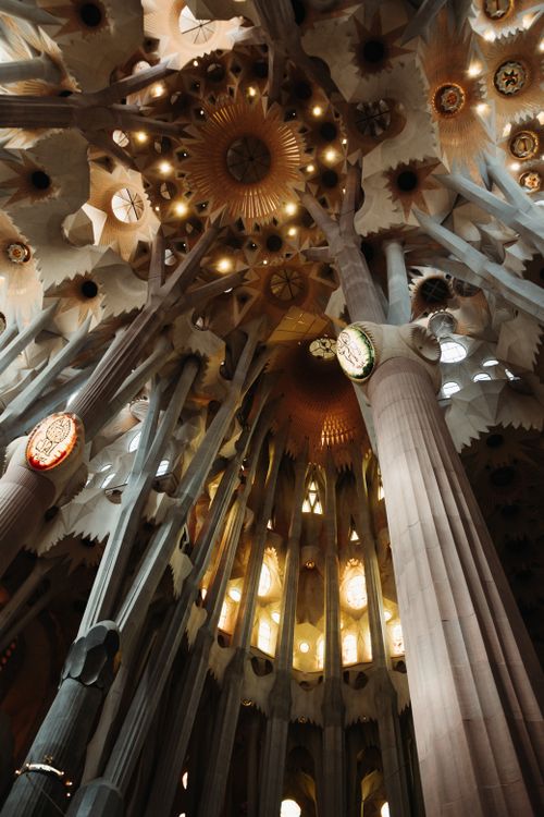 Stained glass and branching stone columns inside the Sagrada Família nave