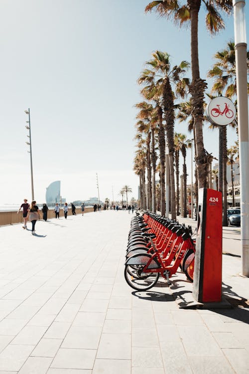 Bicycles for Rent on Promenade in Barcelona, Spain