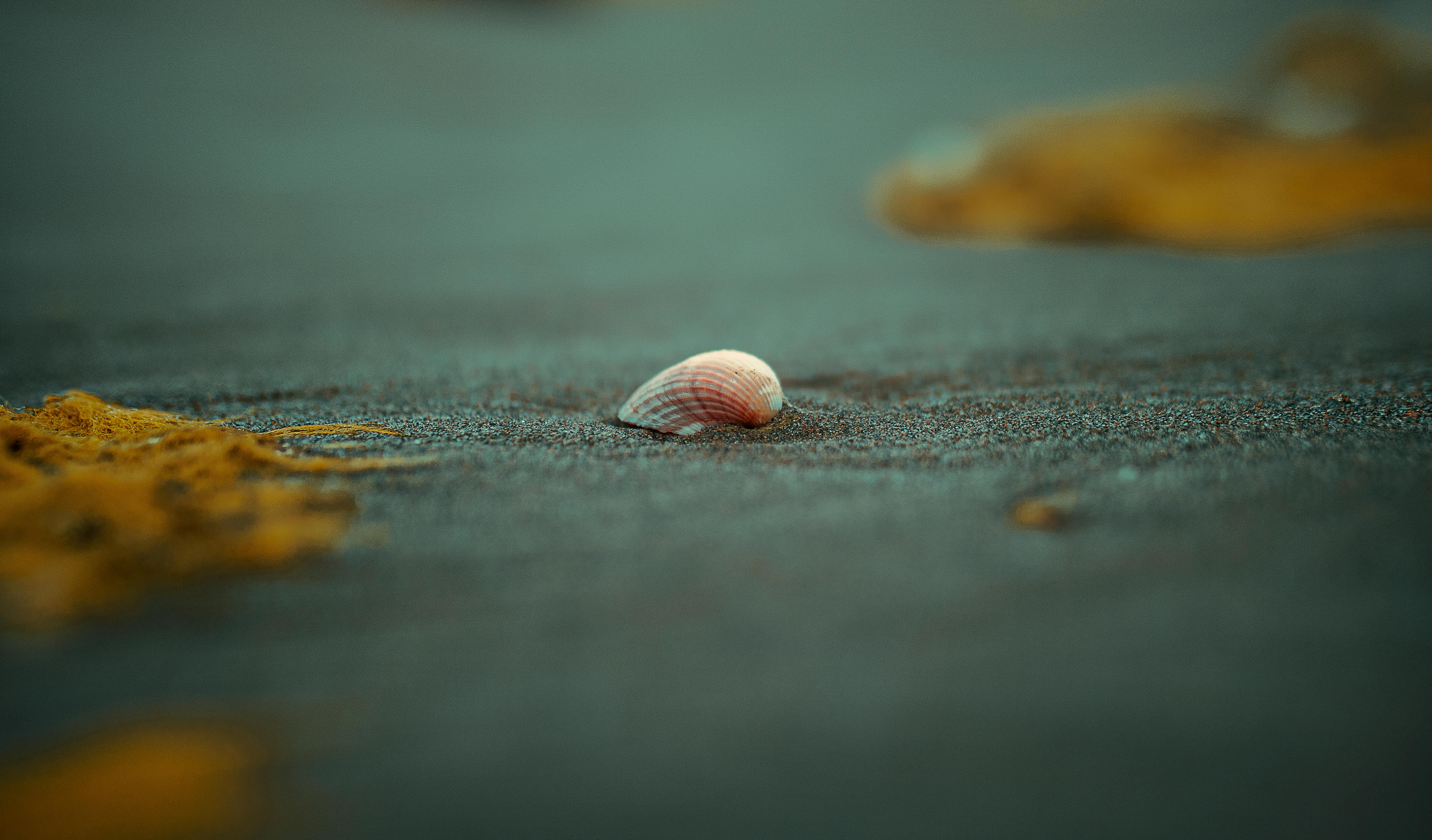 Gratuit Imagine de stoc gratuită din a închide, artă stradală, băiat stil Fotografie de stoc