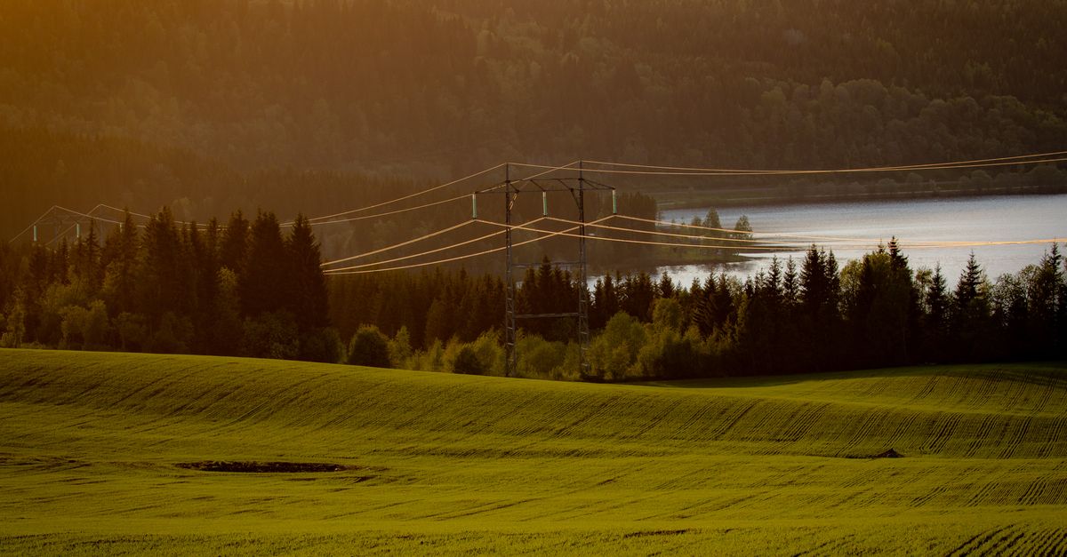 Kraftledning over norsk vinterlandskap