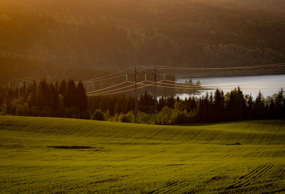 Scenic view of sunset over fields and power lines in Steinkjer, Trøndelag, Norway with a serene lake in the background.